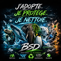 Pack de 5 Autocollants BSD - Collection Complète
